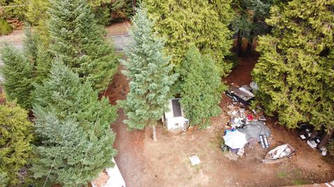 352 Red Blanket Rd, Prospect, OR 97536 photo 4