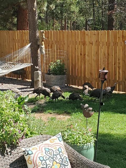 15734 6th St, La Pine, OR 97739 photo 38