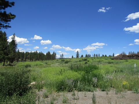 Nka Lot 103 Highway 62, Chiloquin, OR 97624
