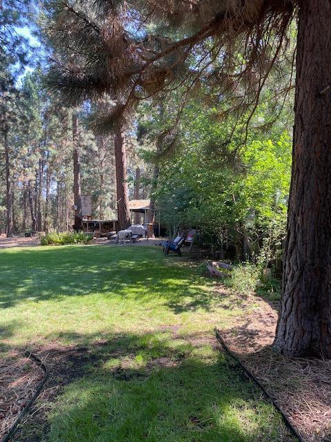 16913 Downey Rd, Bend, OR 97707 photo 8
