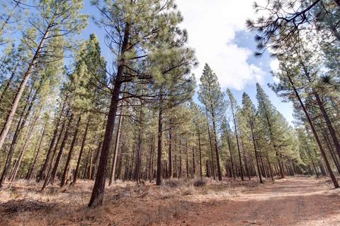 50056 Collar Dr, La Pine, OR 97739 photo 36
