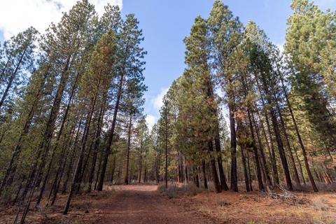50056 Collar Dr, La Pine, OR 97739 photo 35