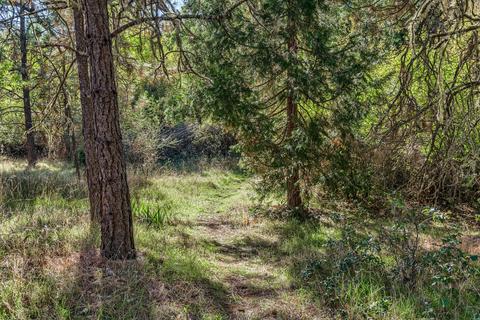 1776 Rogue River Dr, Eagle Point, OR 97524 photo 41