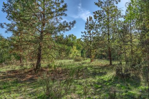 1776 Rogue River Dr, Eagle Point, OR 97524 photo 39