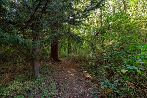 1776 Rogue River Dr, Eagle Point, OR 97524 photo 43