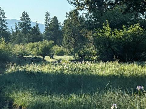 53700 Bridge Dr, La Pine, OR 97739 photo 18