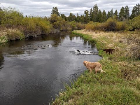 53700 Bridge Dr, La Pine, OR 97739 photo 19