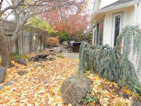 648 Benjamin Way, Phoenix, OR 97535 photo 28