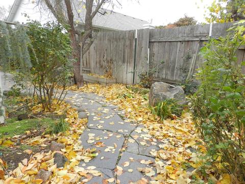 648 Benjamin Way, Phoenix, OR 97535 photo 26