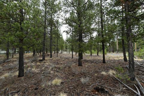 56607 Celestial Dr, Bend, OR 97707 photo 5