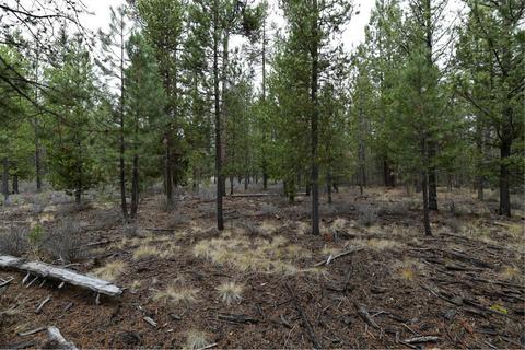 56607 Celestial Dr, Bend, OR 97707 photo 3