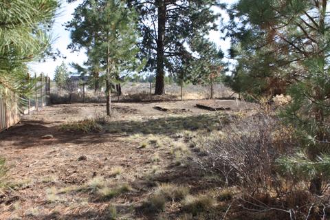 60760 River Bend Dr, Bend, OR 97702 photo 1