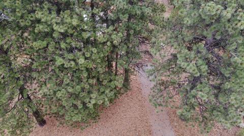 60760 River Bend Dr, Bend, OR 97702 photo 10