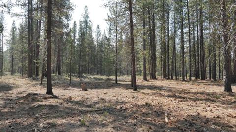 56245 Mirror Rock Loop, Bend, OR 97707 photo 11