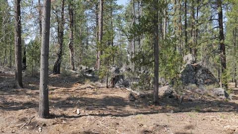 56245 Mirror Rock Loop, Bend, OR 97707 photo 8