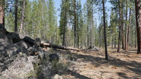 56245 Mirror Rock Loop, Bend, OR 97707 photo 10