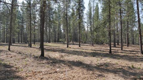 56245 Mirror Rock Loop, Bend, OR 97707 photo 5