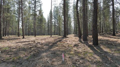 56245 Mirror Rock Loop, Bend, OR 97707 photo 6