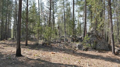 56245 Mirror Rock Loop, Bend, OR 97707 photo 7