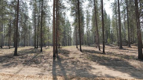 56245 Mirror Rock Loop, Bend, OR 97707 photo 4