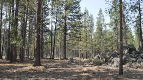 56245 Mirror Rock Loop, Bend, OR 97707 photo 9