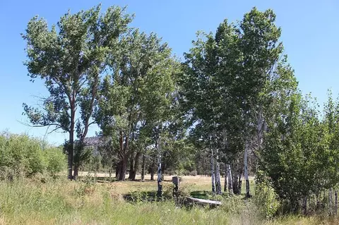 471 Day School Rd, Chiloquin, OR 97624 photo 14