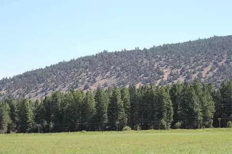 471 Day School Rd, Chiloquin, OR 97624 photo 13