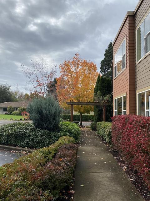347 Rustic Pl #17, Eugene, OR 97401 photo 22