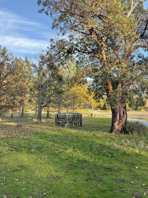 91 Decker Ln, Applegate, OR 97530 photo 5