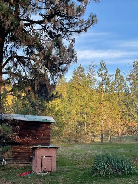 91 Decker Ln, Applegate, OR 97530 photo 6