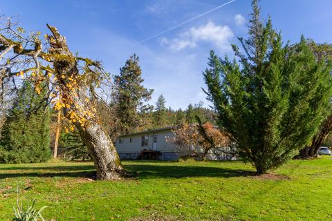 91 Decker Ln, Applegate, OR 97530 photo 27