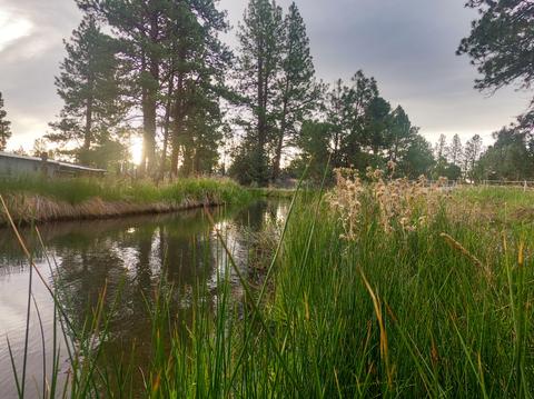 60260 Nighthawk Rd, Bend, OR 97702 photo 40