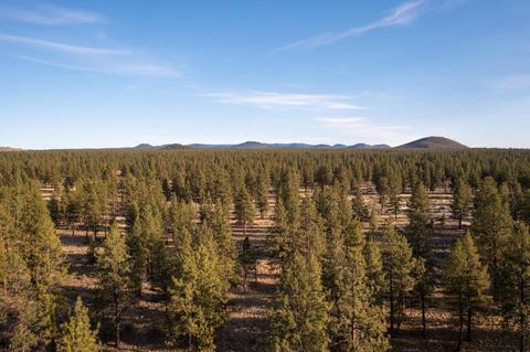 60260 Nighthawk Rd, Bend, OR 97702 photo 32