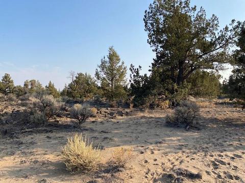 65689 Cairn Ct, Bend, OR 97701 photo 5