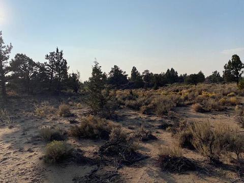 65689 Cairn Ct, Bend, OR 97701 photo 4