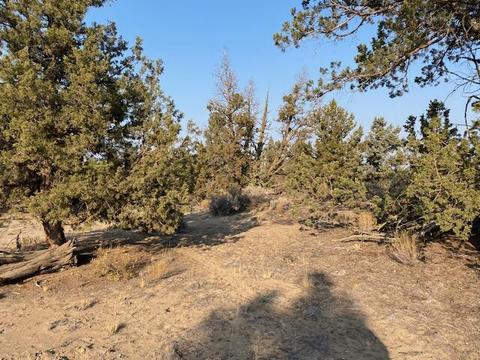 65689 Cairn Ct, Bend, OR 97701 photo 7