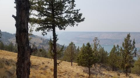 11520 SW Pixie Ln, Culver, OR 97734 photo 10