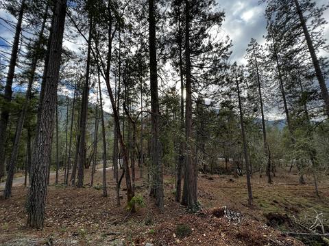 1422 Wetherbee Dr, Grants Pass, OR 97527 photo 29