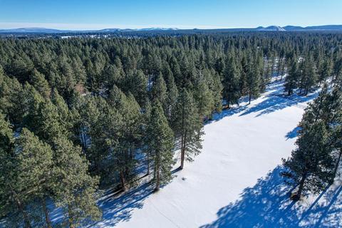 60725 Willow Creek Loop Loop, Bend, OR 97702 photo 18
