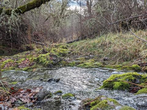2707 Rogue River Dr, Eagle Point, OR 97524 photo 70