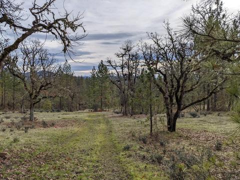 2707 Rogue River Dr, Eagle Point, OR 97524 photo 69