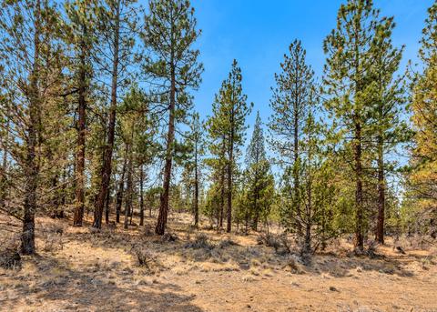 63454 Saddleback Dr, Bend, OR 97703 photo 12