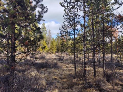 54874 Maple Dr, Bend, OR 97707 photo 15