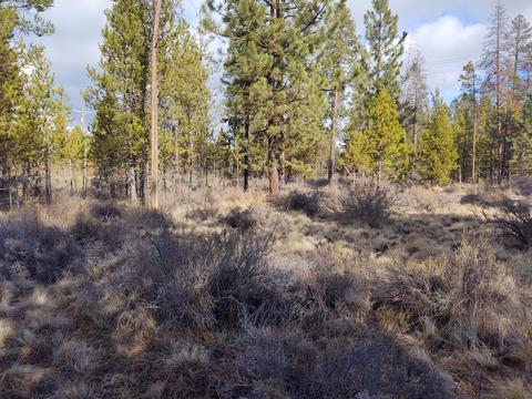 54874 Maple Dr, Bend, OR 97707 photo 18