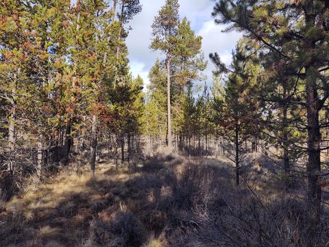 54874 Maple Dr, Bend, OR 97707 photo 14