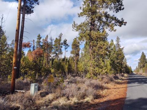 54874 Maple Dr, Bend, OR 97707 photo 19
