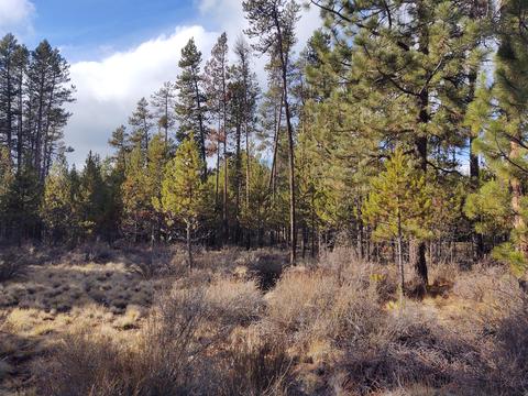 54874 Maple Dr, Bend, OR 97707 photo 13