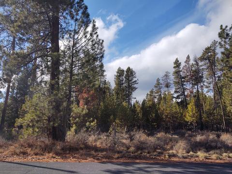 54874 Maple Dr, Bend, OR 97707 photo 4