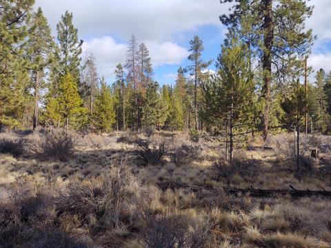 54874 Maple Dr, Bend, OR 97707 photo 16