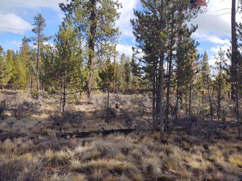 54874 Maple Dr, Bend, OR 97707 photo 17